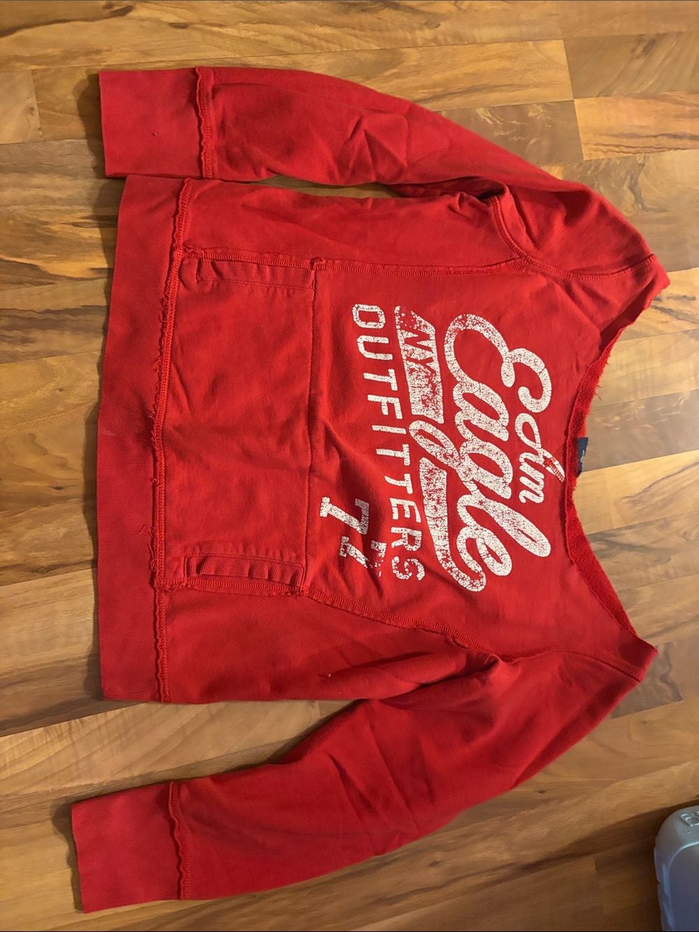 American Eagle Outfitters Red Graphic Sweatshirt